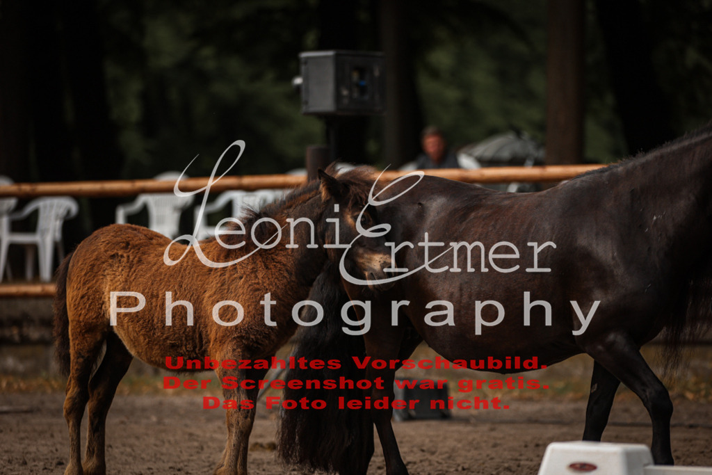 1.Fr00098 | Leoni Ertmer Photography - Realisiert mit Pictrs.com