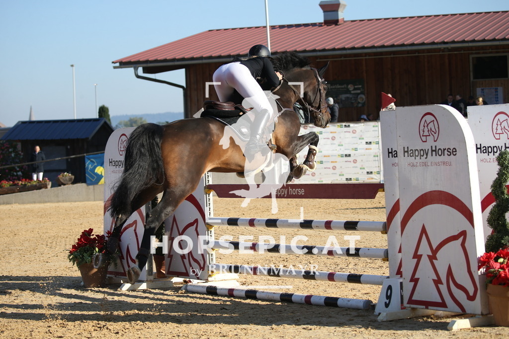 DL2Q1074 | Willkommen bei Brunnmayr - Design & Fotografie – Ihrem Spezialisten für Reitturniere und Pferdeveranstaltungen in Oberösterreich, Salzburg und Bayern! Seit über 17 Jahren sind wir leidenschaftlich dabei.