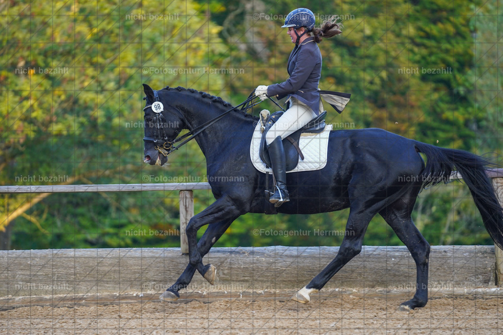 20221007-FAH00586 | Diessen am Ammersee, 2022, Dressur- und Springturnier, Reitsportbilder, Turnierfotografen Bayern, Pferdefotografen, Fotoagentur Herrmann, Turnierbilder