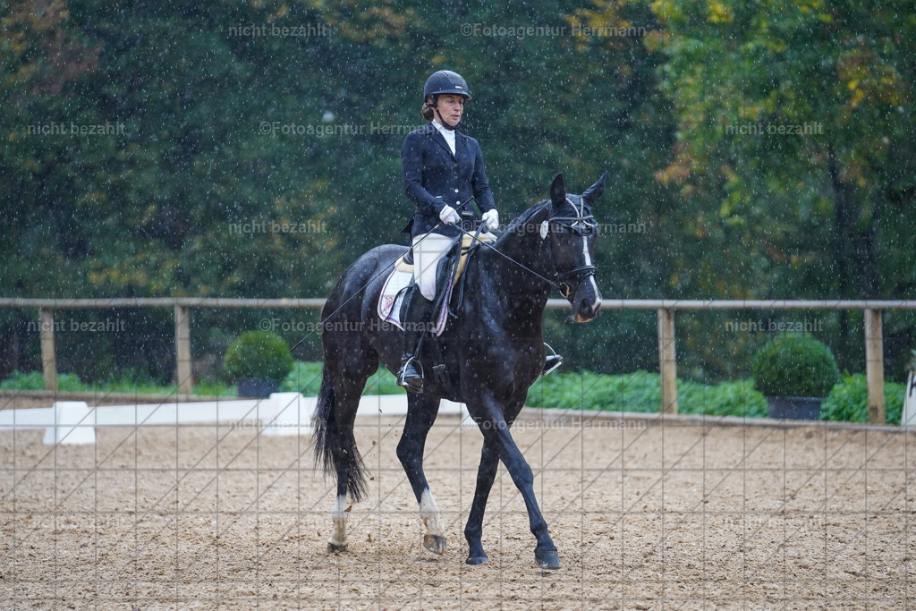 20221008-FAH02066 | Diessen am Ammersee, 2022, Dressur- und Springturnier, Reitsportbilder, Turnierfotografen Bayern, Pferdefotografen, Fotoagentur Herrmann, Turnierbilder