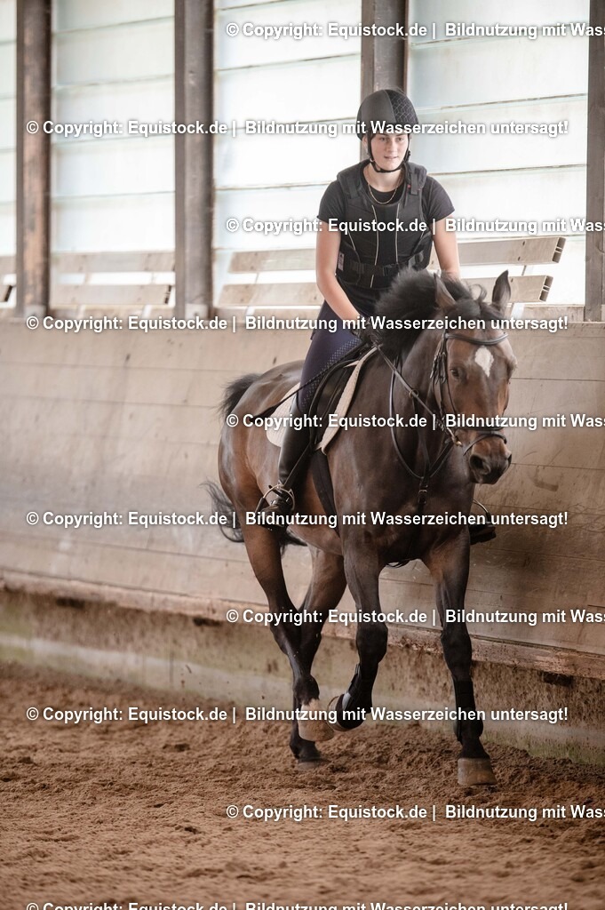 20250725_Vielseitigkeitslehrgang-Marbach_0014 | Foto: Thomas Hartig