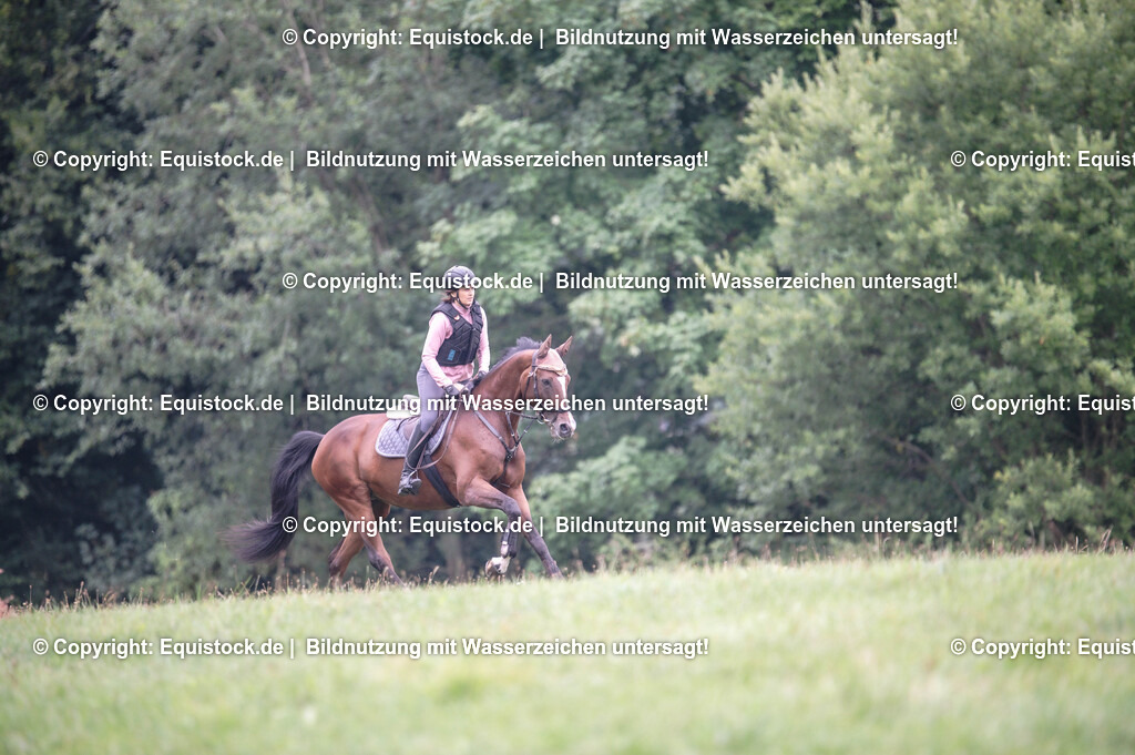 20250726_Vielseitigkeitslehrgang-Marbach_0269 | Foto: Thomas Hartig