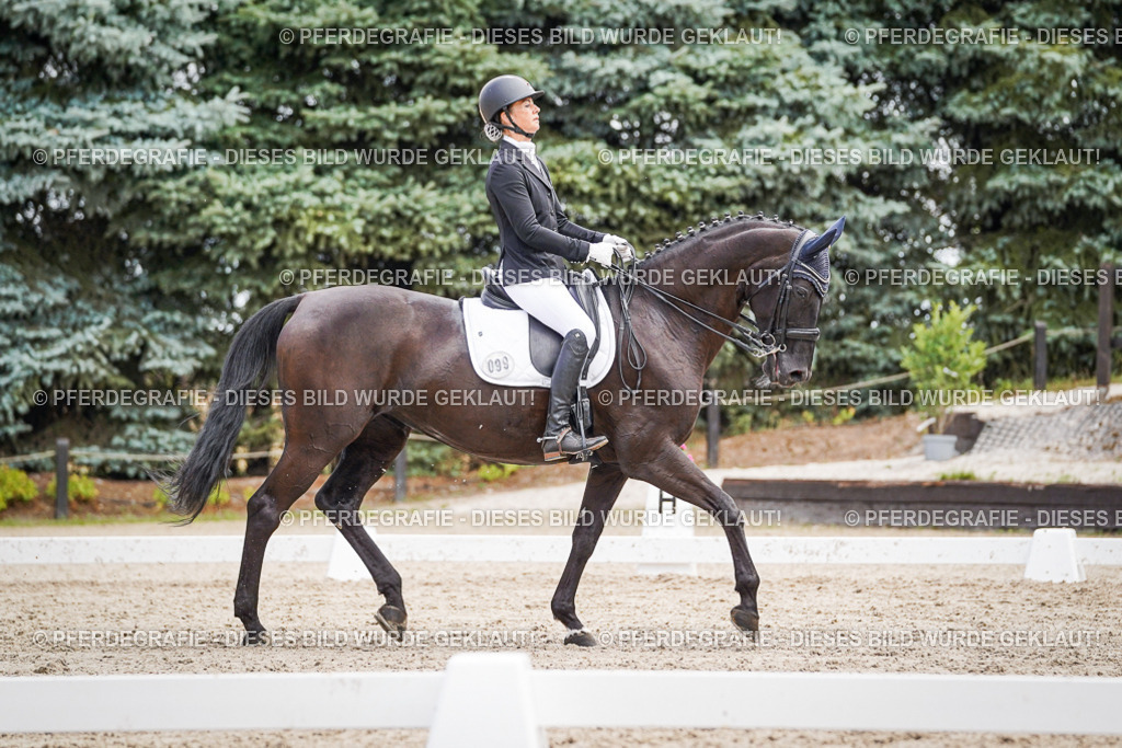 DSC03560 | Pferdegrafie