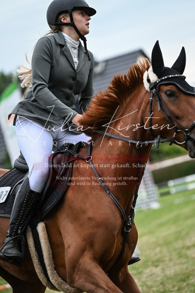 DSC_8452 | Pferde- und Turnierfotografie in Westsachsen. Pferdeportraits, Auftragszeichnungen und intuitive Kunst.