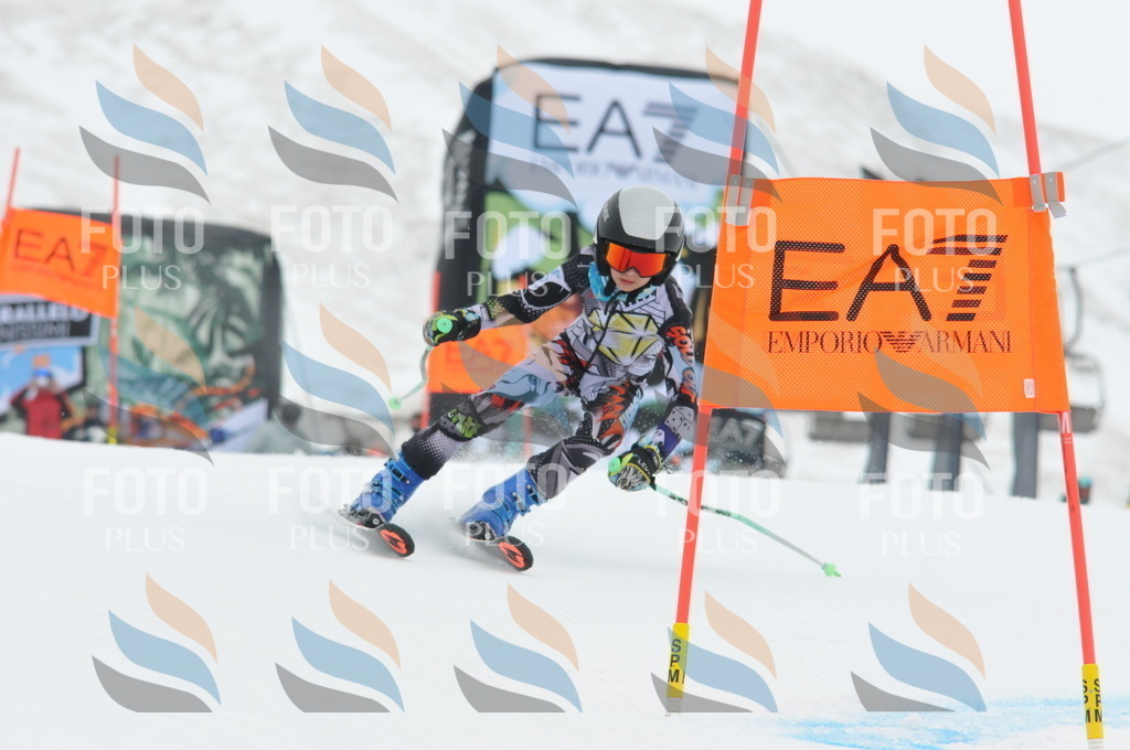 DSC_8739 | holidayphoto