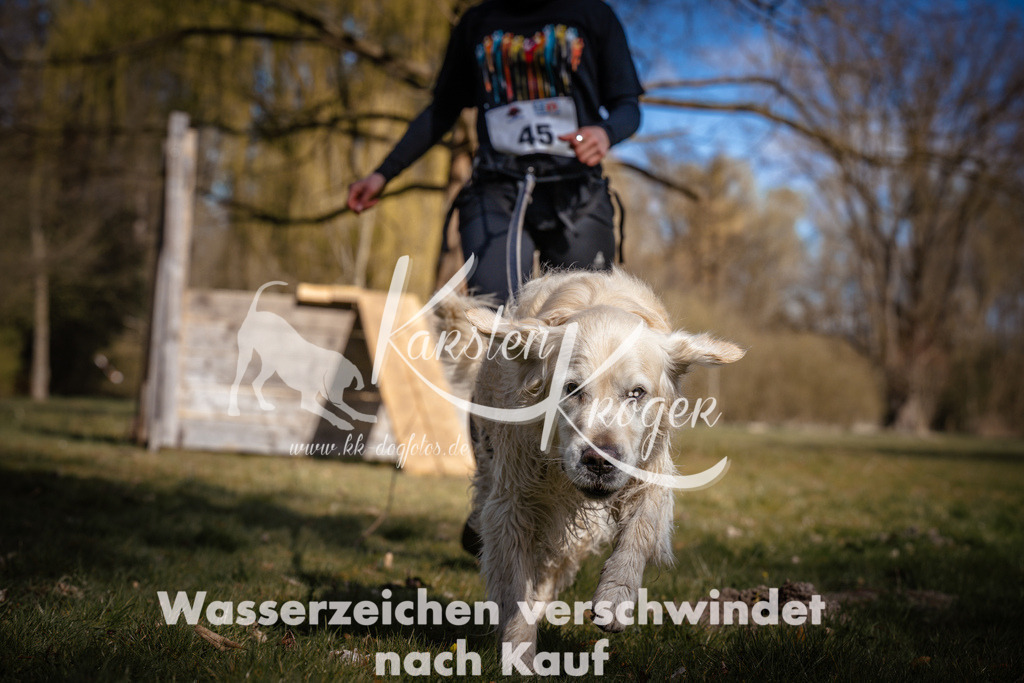 1022_ZZ97464 | kk-dogfotos