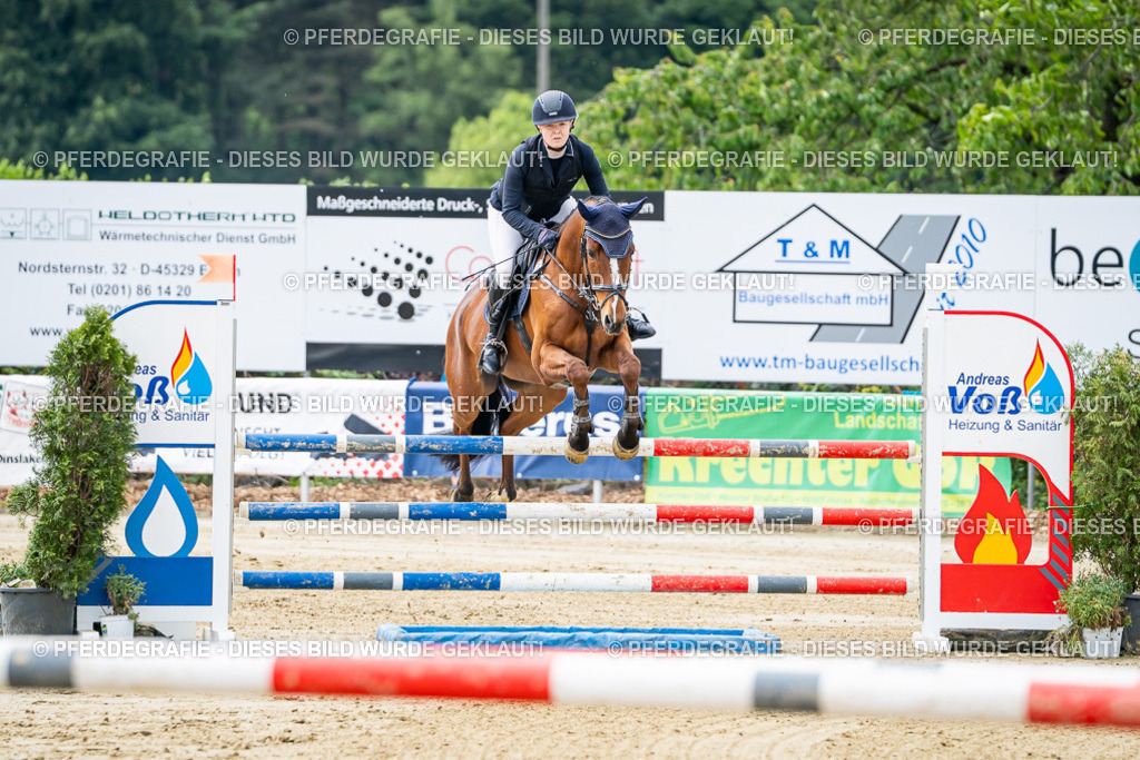 DSC04905 | Pferdegrafie