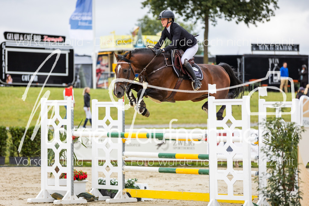 BHO-2PhSpr-M-5-2321 | MomenTaufnahmen Pferdesportfotos