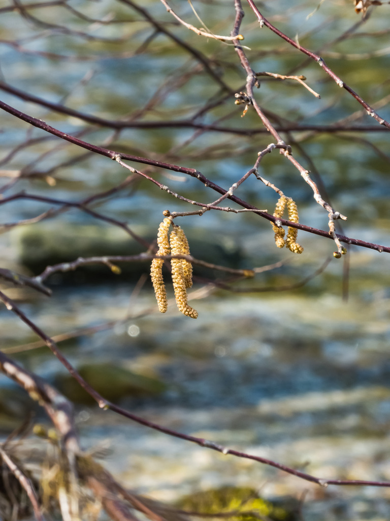 PSX_20230321_222707 | mtkfoto_ - Realisiert mit Pictrs.com