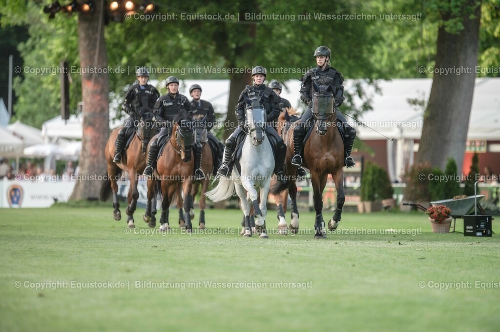 20230526_Pferdenacht_0386 | equistock