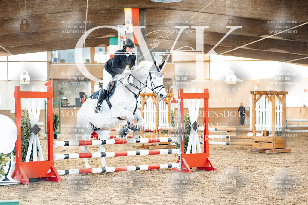 CK903956 | Turnierfotografie Pferdefotografie Trier Rheinland-Pfalz Pferdesport Reitsport Tierfotografie Sportfotografie Pferdevideo Pferdevideografie Equestrianvideography equestrianphotography  - Realized with Pictrs.com