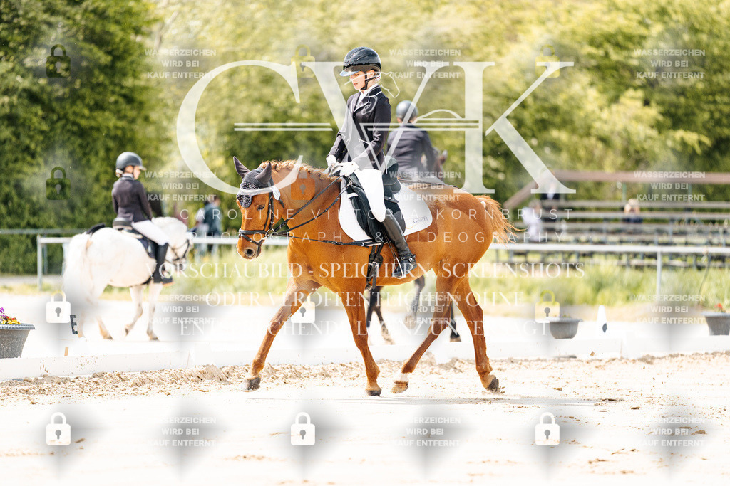CK901676 | Turnierfotografie Pferdefotografie Trier Rheinland-Pfalz Pferdesport Reitsport Tierfotografie Sportfotografie Pferdevideo Pferdevideografie Equestrianvideography equestrianphotography  - Realisiert mit Pictrs.com