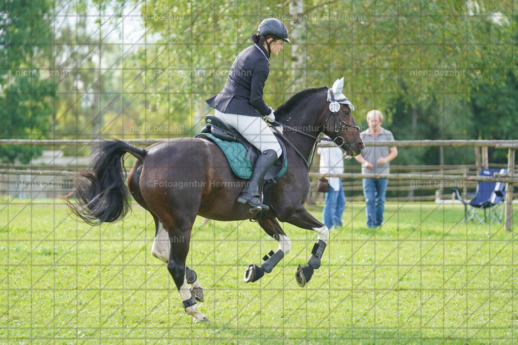 20230917-FAH09118 | Landsberg am Lech, 2023, Kaufbeuren, Kempten, Allgäu, Turnierfotografen Bayern, Fotoagentur Herrmann, Turnierbilder, Reitsport Fotos, Pferdefotograf, Augsburg, Bad Tölz, Dachau, Karlsfeld, Memmingen, Buchloe, Schwabmünchen