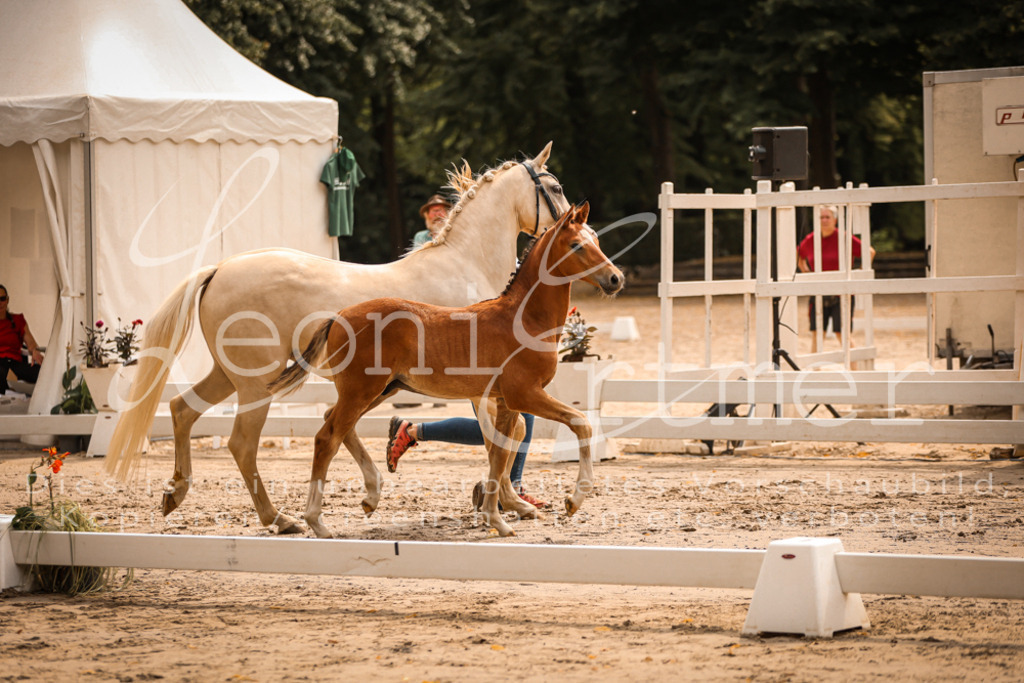 SaPA00090 | Leoni Ertmer Photography - Realisiert mit Pictrs.com