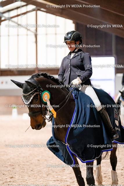 Dressur Tag 3-673 | dv-media-shop - Realized with Pictrs.com