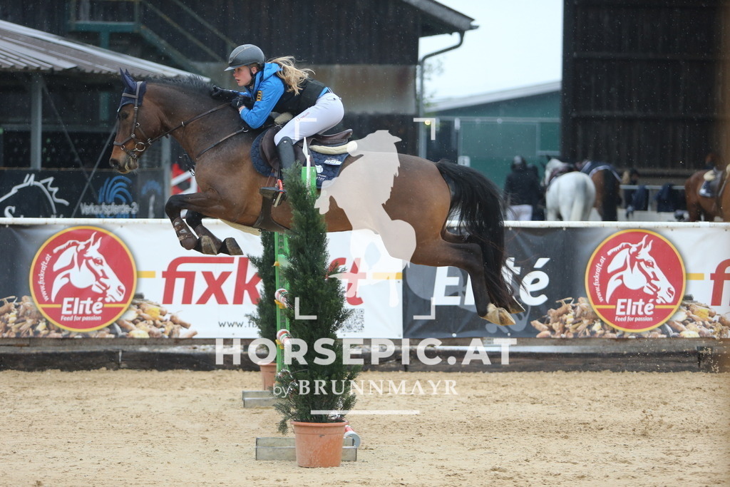 DL2Q6853 | Willkommen bei Brunnmayr - Design & Fotografie – Ihrem Spezialisten für Reitturniere und Pferdeveranstaltungen in Oberösterreich, Salzburg und Bayern! Seit über 17 Jahren sind wir leidenschaftlich dabei.