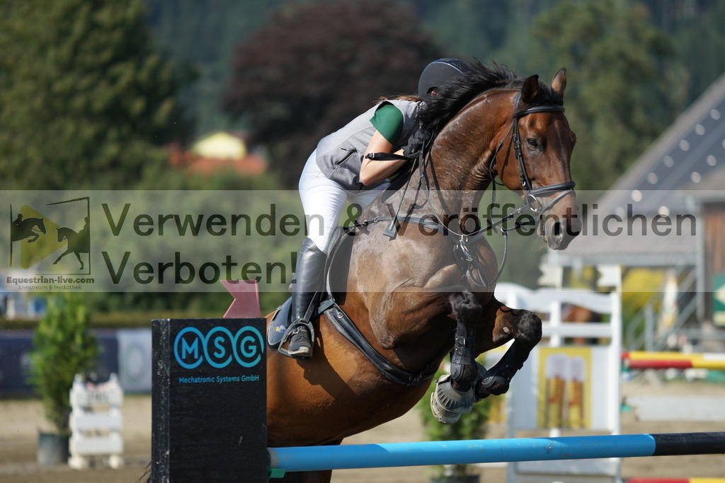DSC01747 | equestrian-live-com