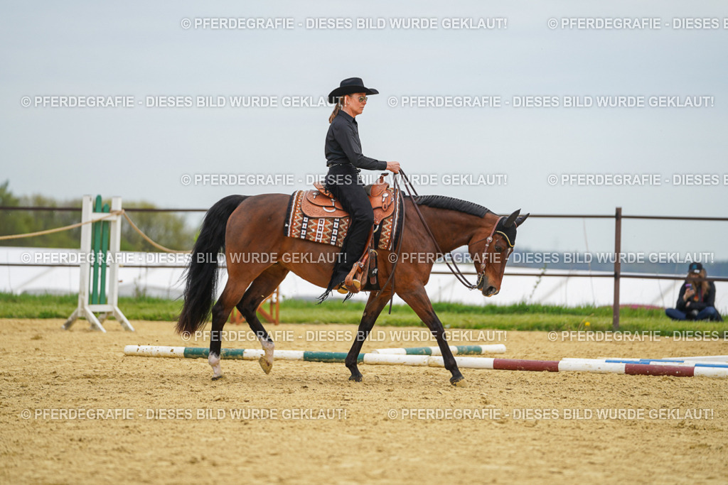 DSC02972 | Pferdegrafie