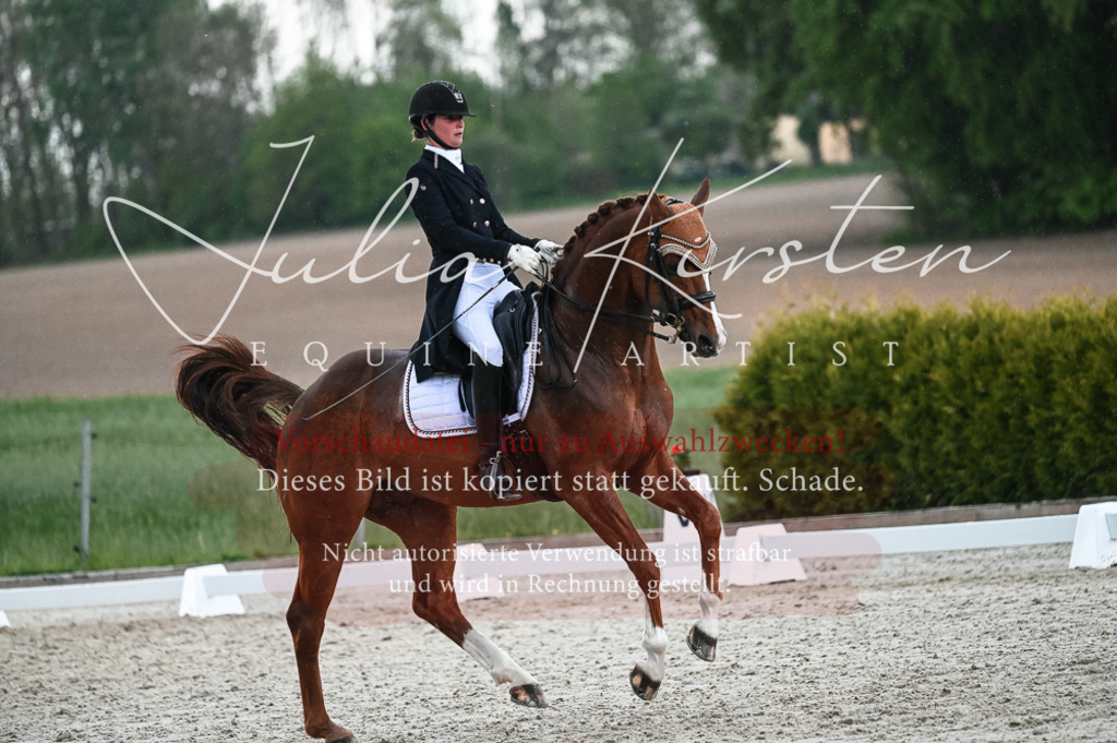 20230514_JK-Röhrsdorf-21-619 | Pferde- und Turnierfotografie in Westsachsen. Pferdeportraits, Auftragszeichnungen und intuitive Kunst.