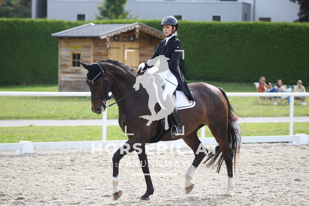 DL2Q4970 | Willkommen bei Brunnmayr - Design & Fotografie – Ihrem Spezialisten für Reitturniere und Pferdeveranstaltungen in Oberösterreich, Salzburg und Bayern! Seit über 17 Jahren sind wir leidenschaftlich dabei.