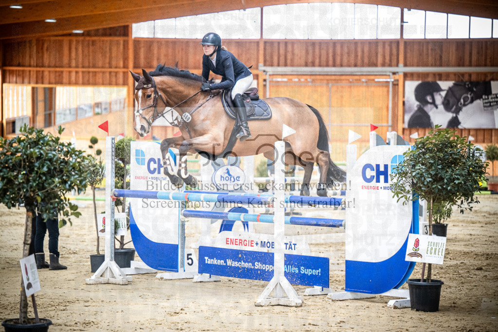 DOS_0546 | Entdecke hochwertige Reitturnierfotos von Foto Oger. Professionell, emotional und authentisch – jetzt Lieblingsmomente im Shop bestellen.Deutschlandweite Turnierfotografie. - Realisiert mit Pictrs.com