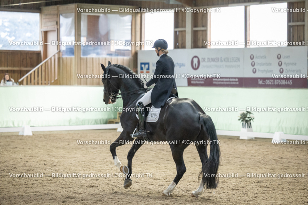 _D5A6922 | Emotionale Pferde- & People-Fotografie rund um Heidelberg, Leimen & Umgebung. Natürliche Fotos von Pferd, Mensch & Familie. Jetzt Termin sichern!