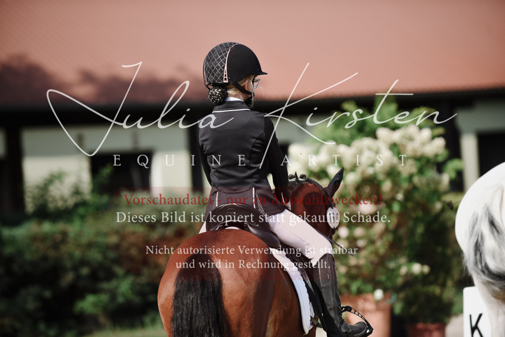 DSC_0066 | Pferde- und Turnierfotografie in Westsachsen. Pferdeportraits, Auftragszeichnungen und intuitive Kunst.
