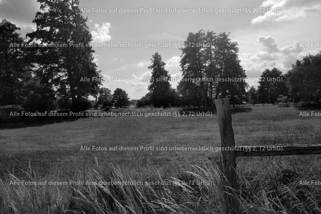 IMG_20180709_1558007 | krollfotografie - Realized with Pictrs.com