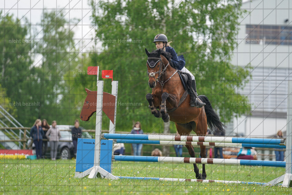 20240509-FAH02653 | Turnierbilder der Turnierfotografen Bayern, Pferdesport Fotografie, Reitsportbilder, Turnier Landberg am Lech, Turnierbilder bayern, Fotoagentur Herrmann