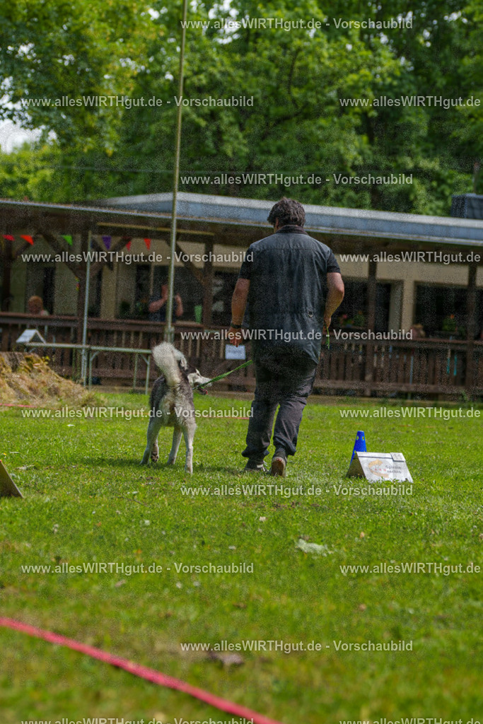 @allesWIRTHgut_Tierfotografie - www.allesWIRTHgut.de - 7R500951 | Professionelle Tierfotografie in Mönchengladbach von Daniel Wirth (allesWIRTHgut). Liebevolle & natürliche Bilder von Hunden & Katzen für unvergessliche Erinnerungen.