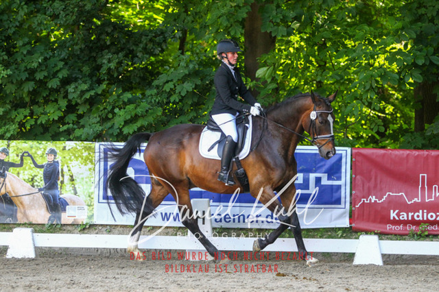 DKP42816 | Turniersportfotografie; Pferdefotografie; Dressurfotografie