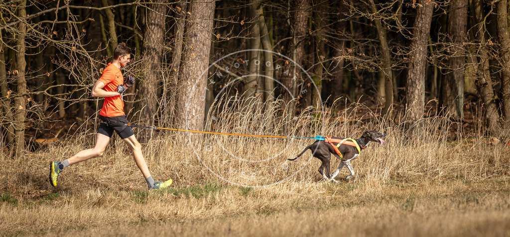 DV3A3734 | Hundefotografie, Tierfotograf, Pfotenfotografie, Fotoshooting Hund, Hunde Portrait, Hundesport, Hundeportraits, Heideshooting, Hunde, Sportfotograf, Hundefotograf, Turnierhundsport, THS,  - Realisiert mit Pictrs.com