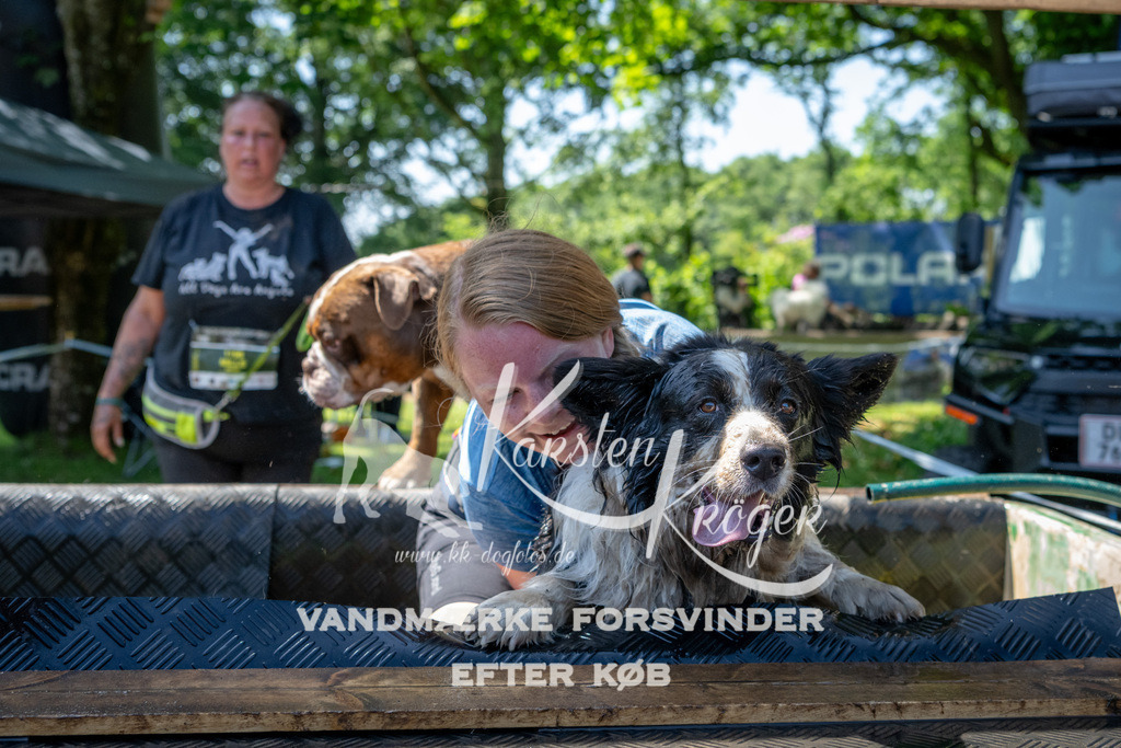 1245_ZZ92191 | kk-dogfotos