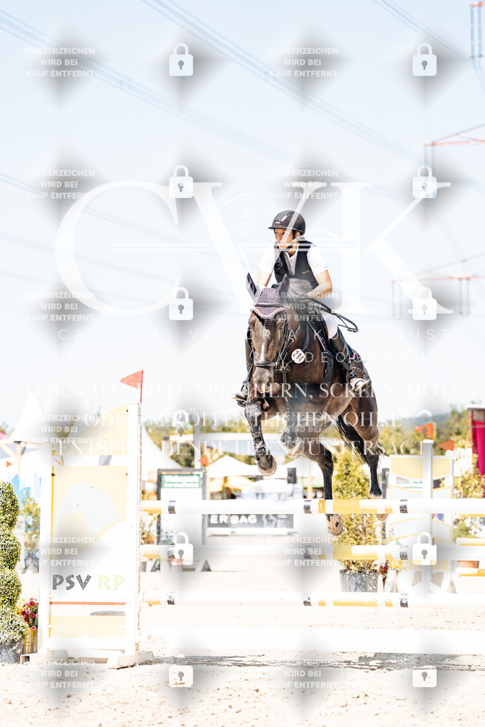 CK909734 | Turnierfotografie Pferdefotografie Trier Rheinland-Pfalz Pferdesport Reitsport Tierfotografie Sportfotografie Pferdevideo Pferdevideografie Equestrianvideography equestrianphotography  - Realisiert mit Pictrs.com