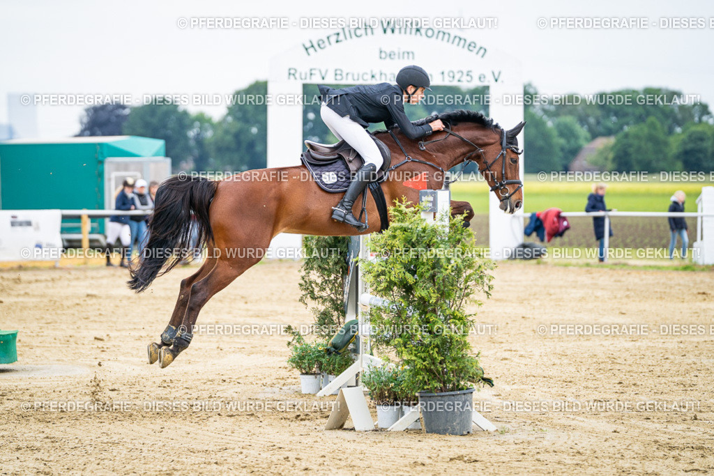 DSC06276 | Pferdegrafie