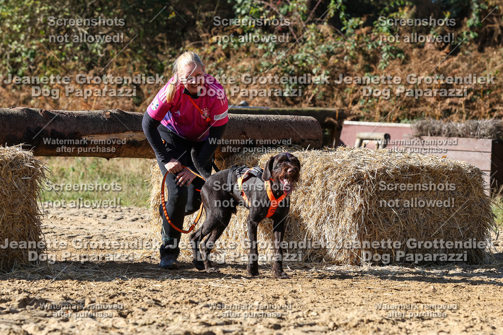 Dog Paparazzi - Strongdog 10-25-2916 | Dog Paparazzi Jeanette Grottendiek Fotografie & Videografie - Realisiert mit Pictrs.com