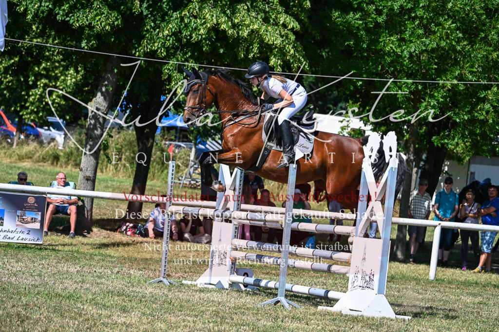 DSC_1731 | Pferde- und Turnierfotografie in Westsachsen. Pferdeportraits, Auftragszeichnungen und intuitive Kunst.