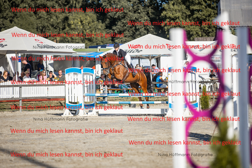 BK1A7735 | Turnierbilder Turnierfotos Nina Hüffmann Turnierfotografie Pferdefotografie Tierzeichnung Haustierzeichnung Pferdezeichnung Hundezeichnung Videograf  - Realisiert mit Pictrs.com