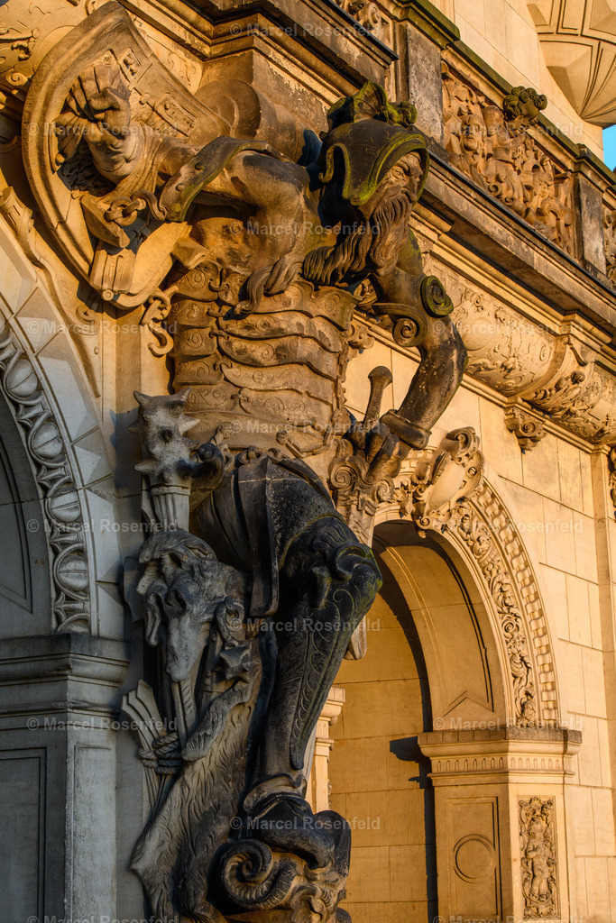 _DSC3648 | foto-rosenfeld