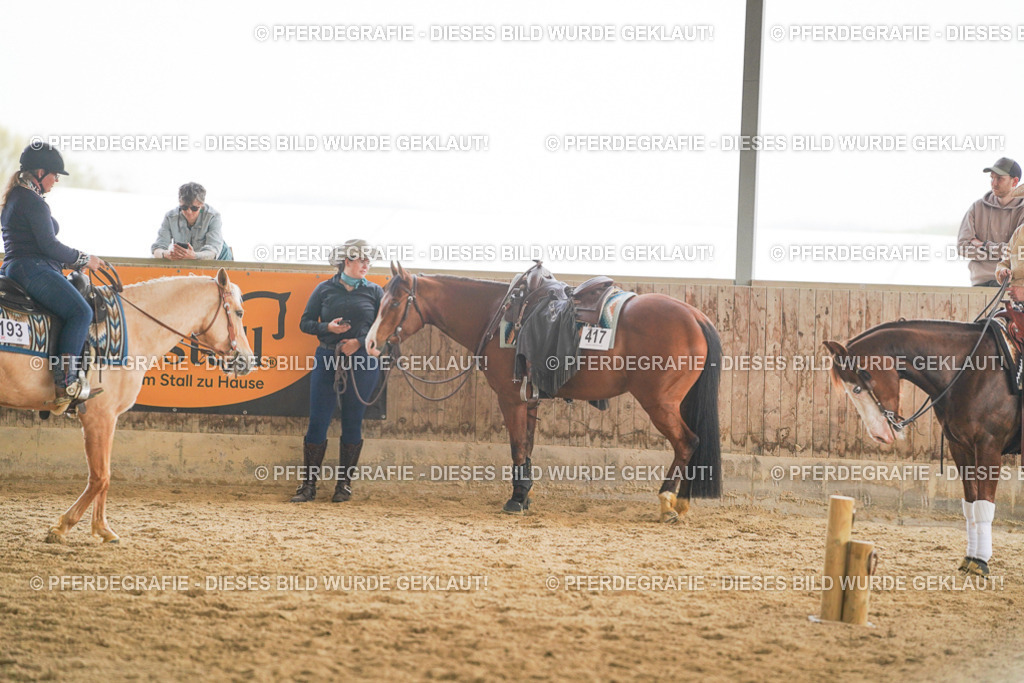 DSC06280 | Pferdegrafie