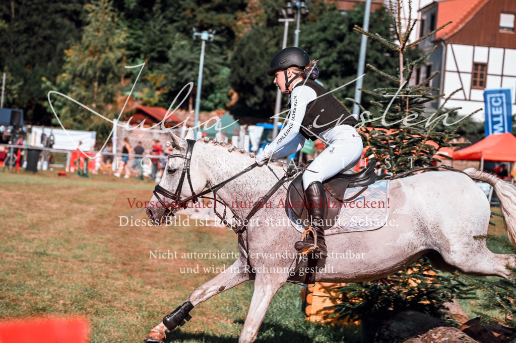 DSC_0664 | Pferde- und Turnierfotografie in Westsachsen. Pferdeportraits, Auftragszeichnungen und intuitive Kunst.