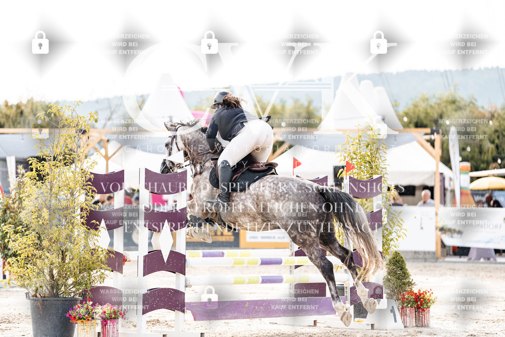 CK907008 | Turnierfotografie Pferdefotografie Trier Rheinland-Pfalz Pferdesport Reitsport Tierfotografie Sportfotografie Pferdevideo Pferdevideografie Equestrianvideography equestrianphotography  - Realisiert mit Pictrs.com