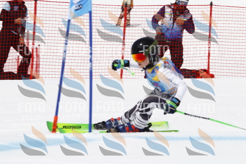 _U3G6399 | holidayphoto