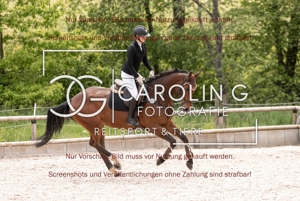 DSC_0542 | Turnierfotografin Carolin Gieschke, Turnierfotografie Carolin G Fotografie, Turnierfotos Kirchheim/Teck, Esslingen, Stuttgart, Bodenseekreis