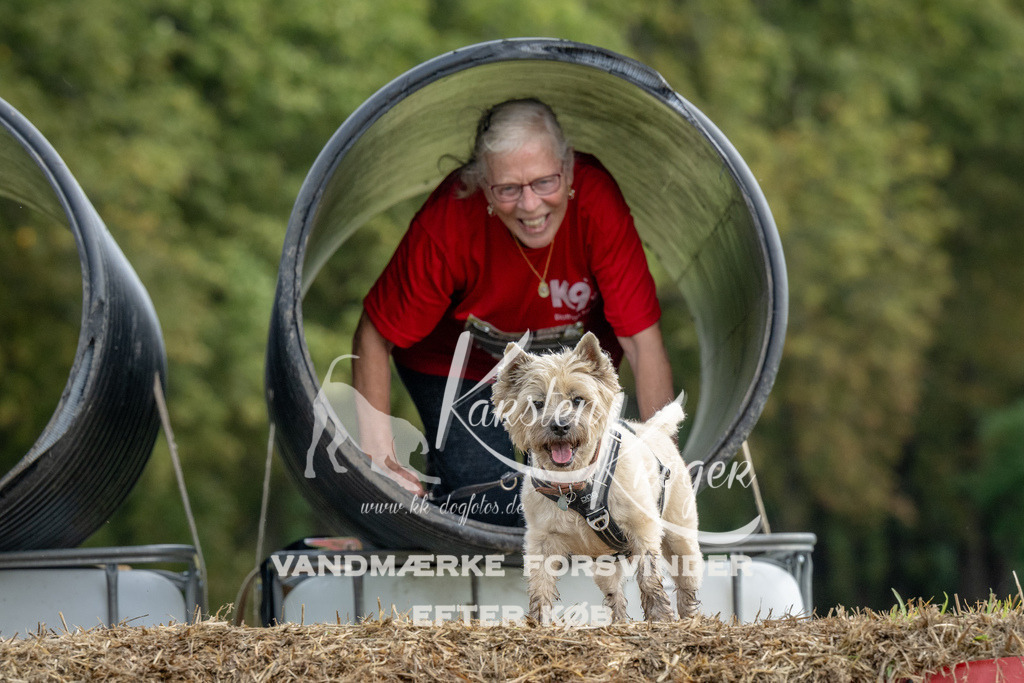 1155_ZZ90863 | kk-dogfotos