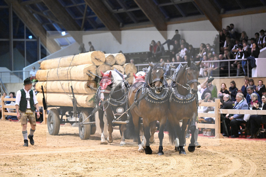 Schauprogramm_54222544 | hf-fotografie - Realisiert mit Pictrs.com