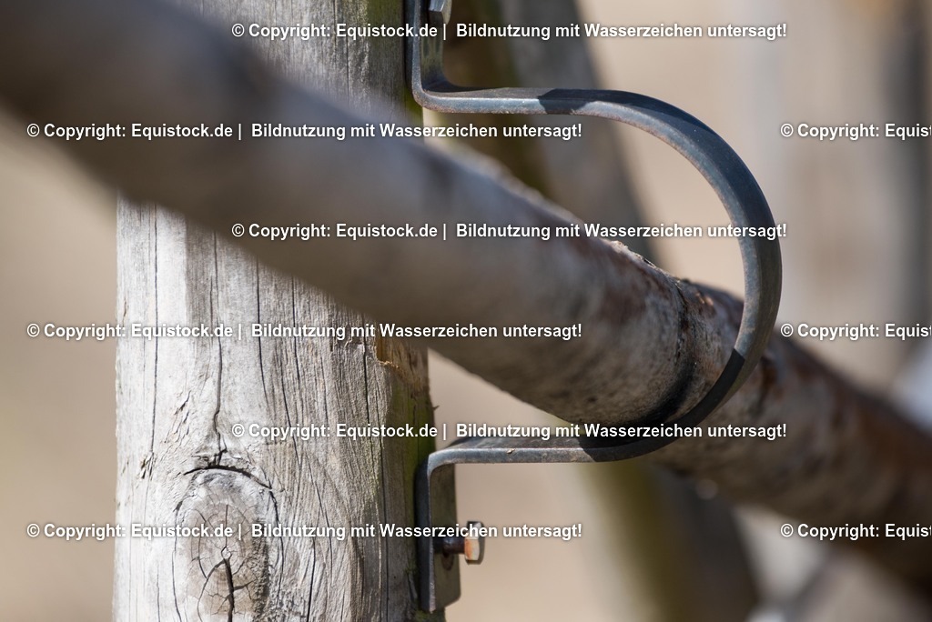 20170312_Koppelzaun_0011 | equistock