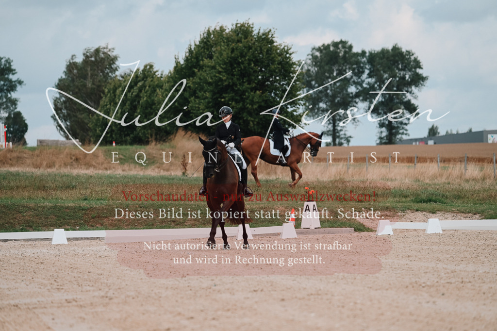 DSC_4163 | Pferde- und Turnierfotografie in Westsachsen. Pferdeportraits, Auftragszeichnungen und intuitive Kunst.