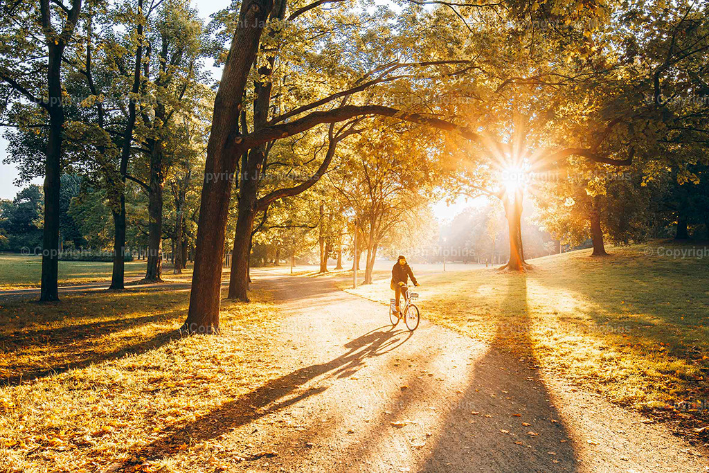 Clara Park | Der Clara-Zetkin-Park in Leipzig ist ein beliebter Ort für Natur, Sport und Erholung – perfekt für Spaziergänge, Jogging und entspannte Stunden im Grünen. - Realisiert mit Pictrs.com