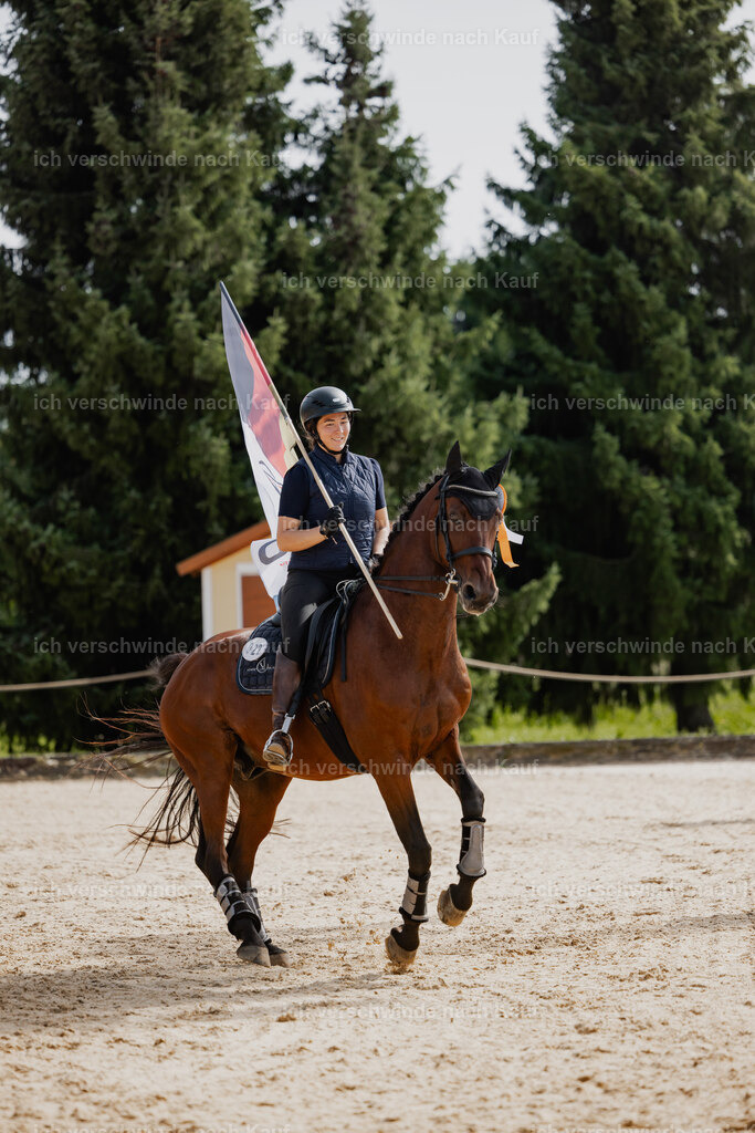 Nadine22_FHC2025-160 | working equitationturnier fotograf videograf stoibphotography marixx film working equitation deutschland reitsport turnierfotografie eventfotografie equestrian events